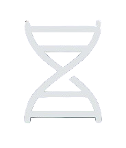 TRANSCRIPTION